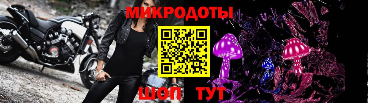 где продают   Вход с VPN  Каменск-Шахтинский  Псилоцибиновые грибы Psilocybine cubensis 